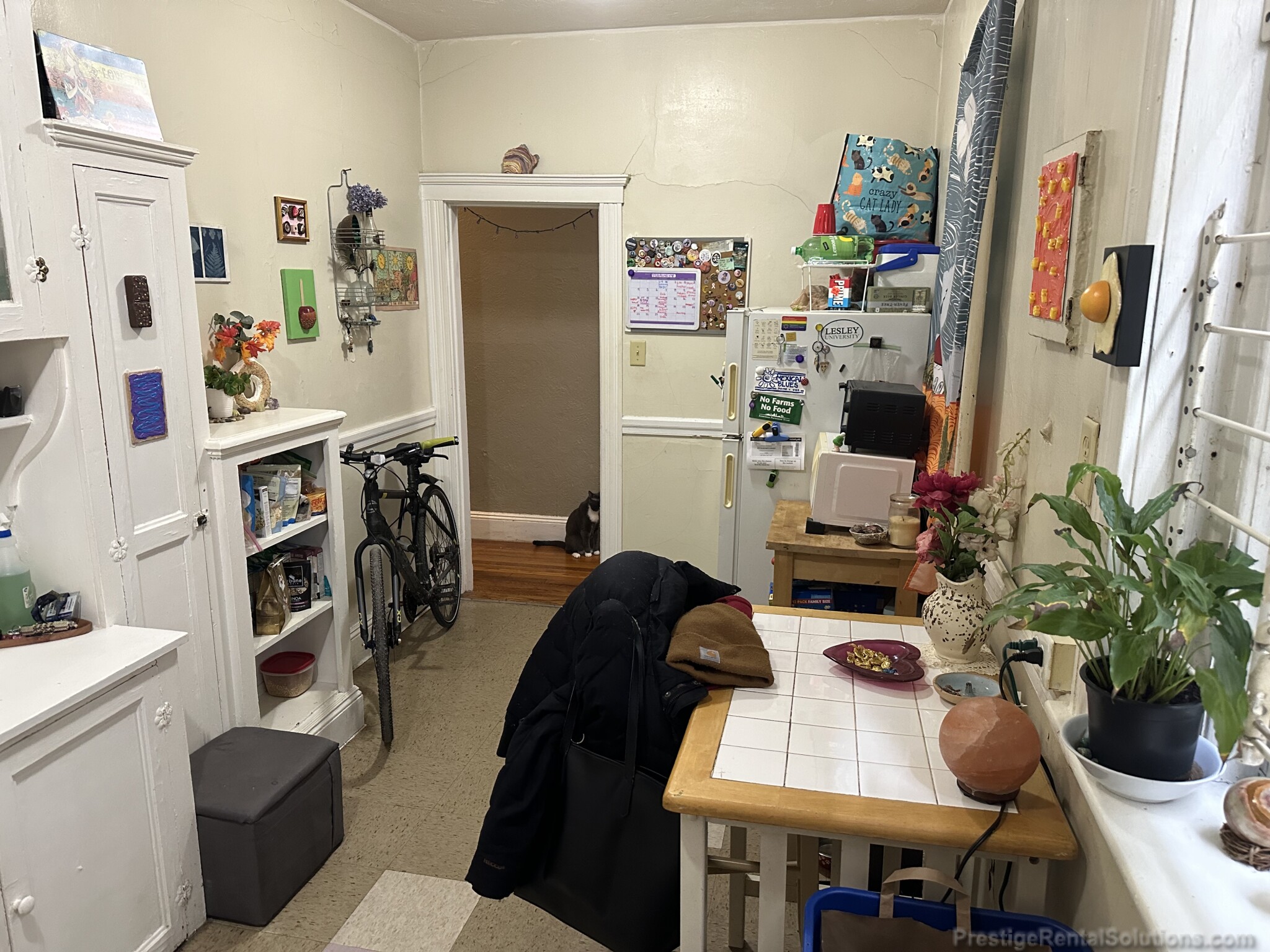 47 Linden St, Allston