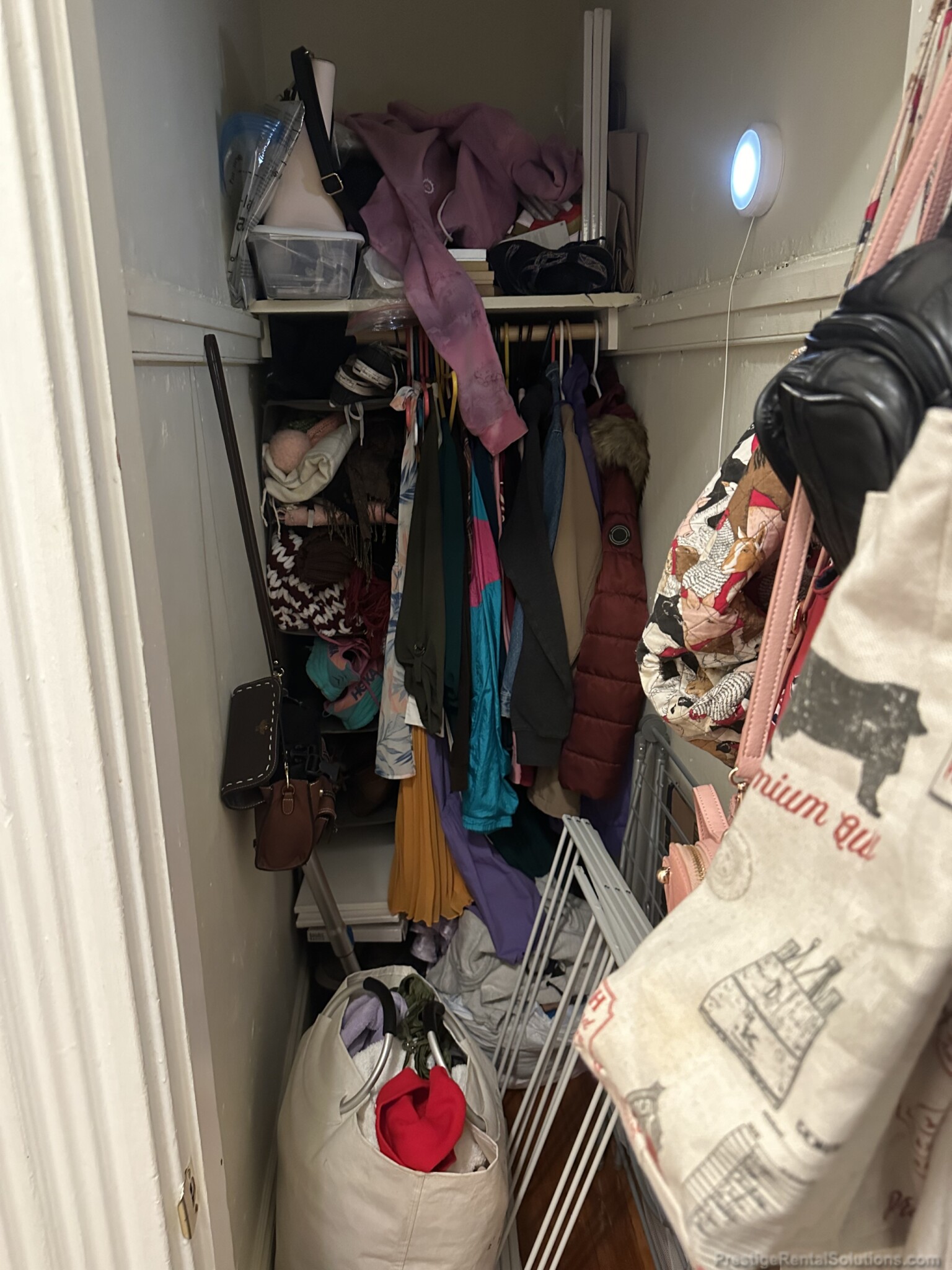 11 Royce Rd, Allston