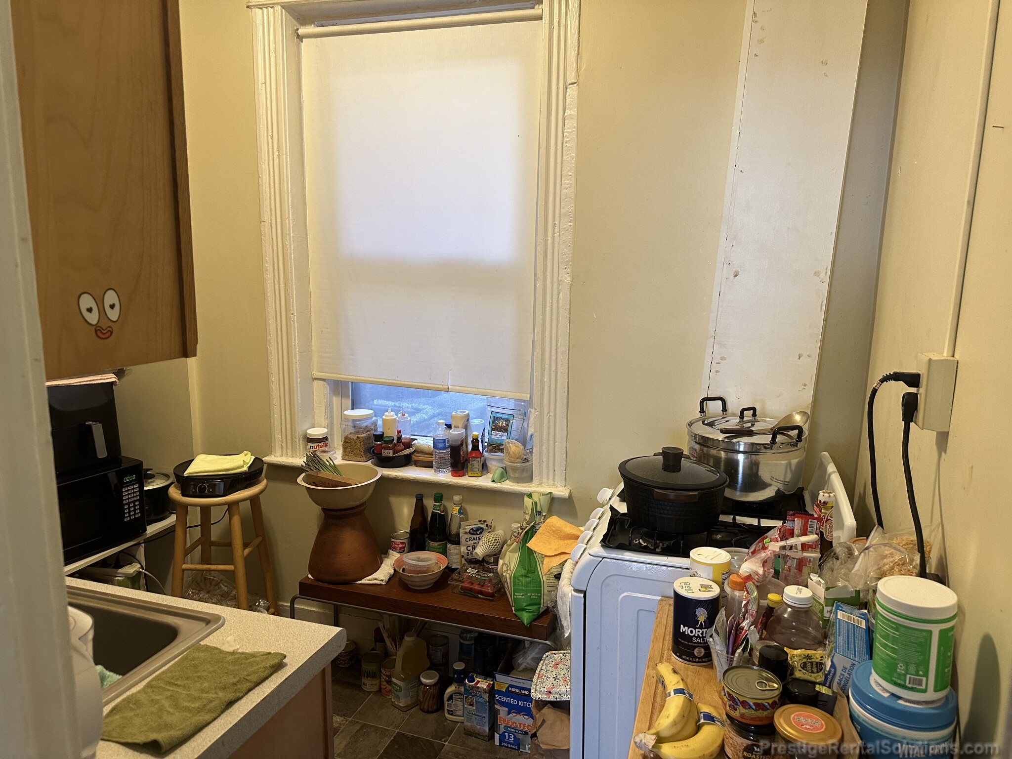 11 Royce Rd, Allston