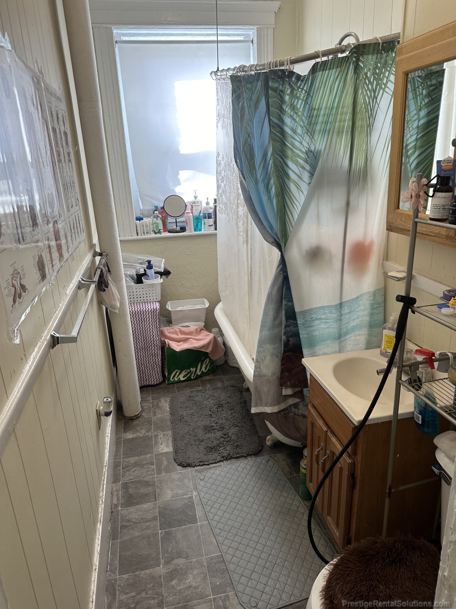 11 Royce Rd, Allston