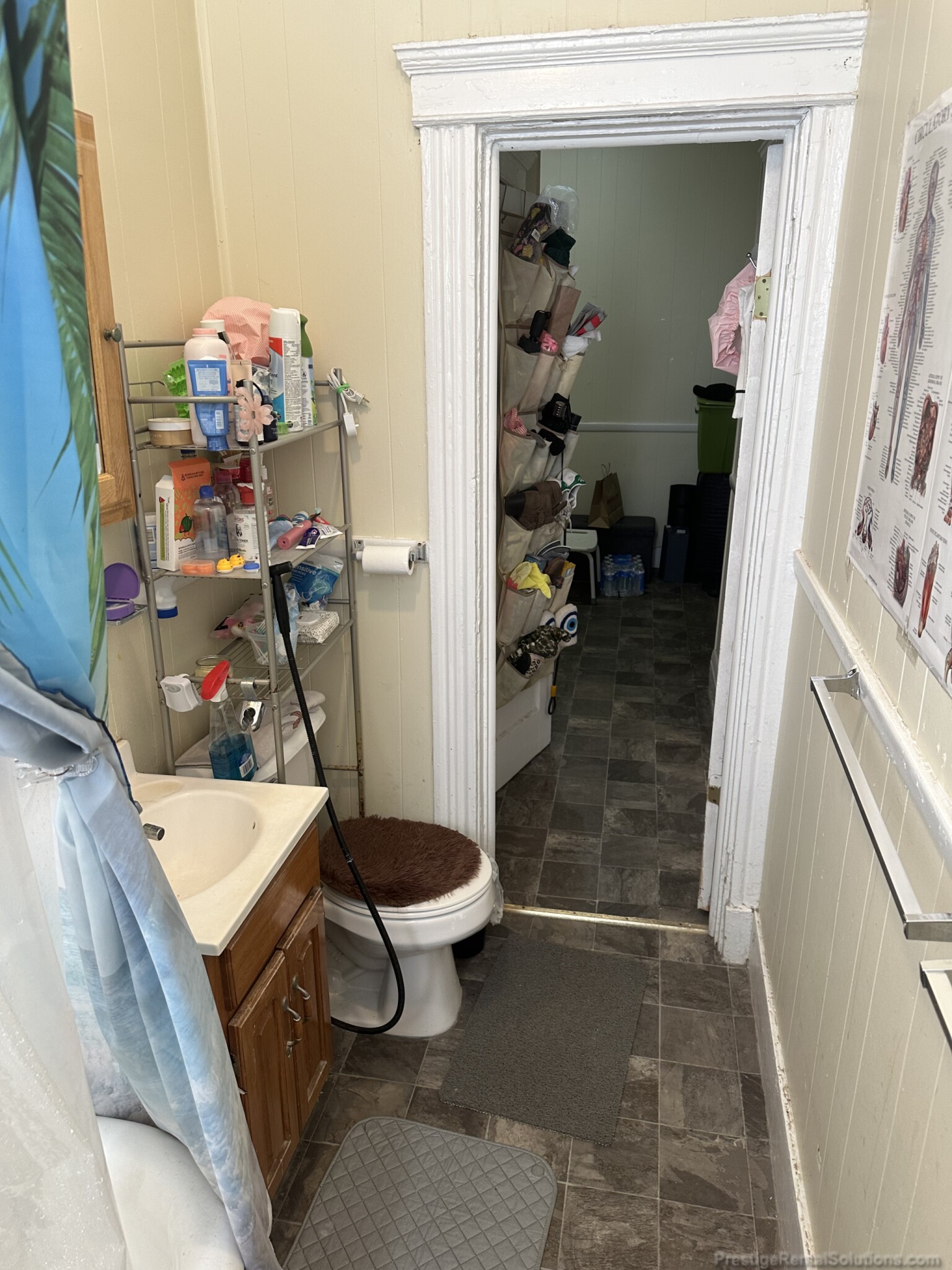 11 Royce Rd, Allston