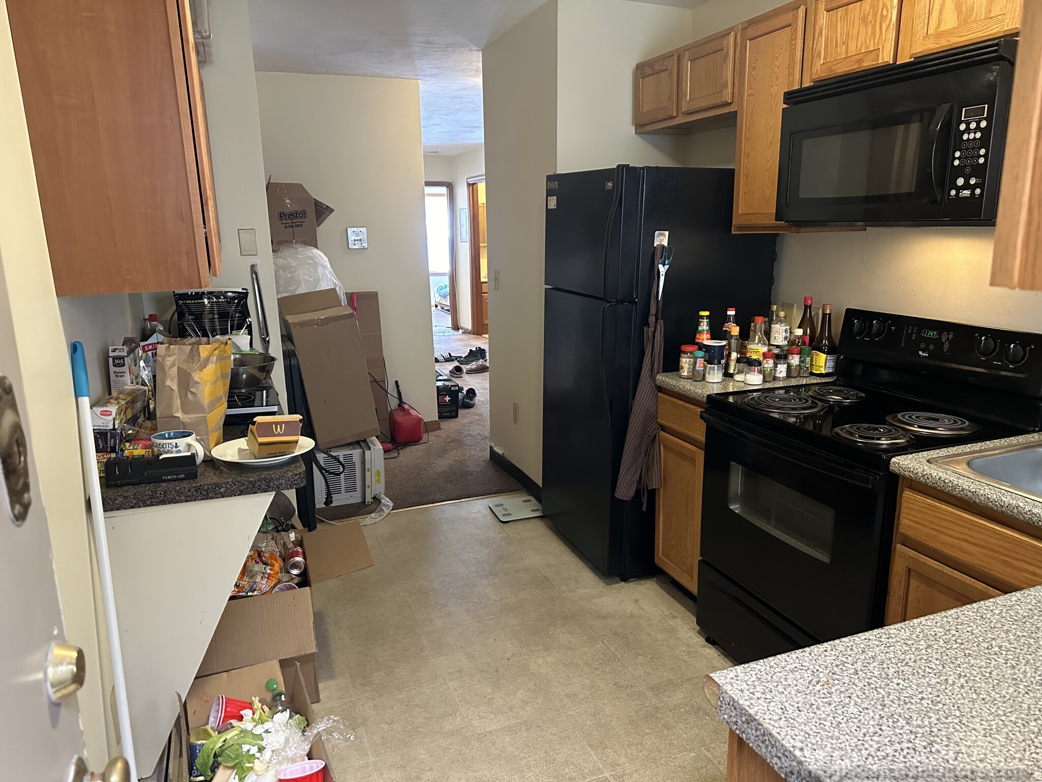 29 Colborne Rd, Brighton