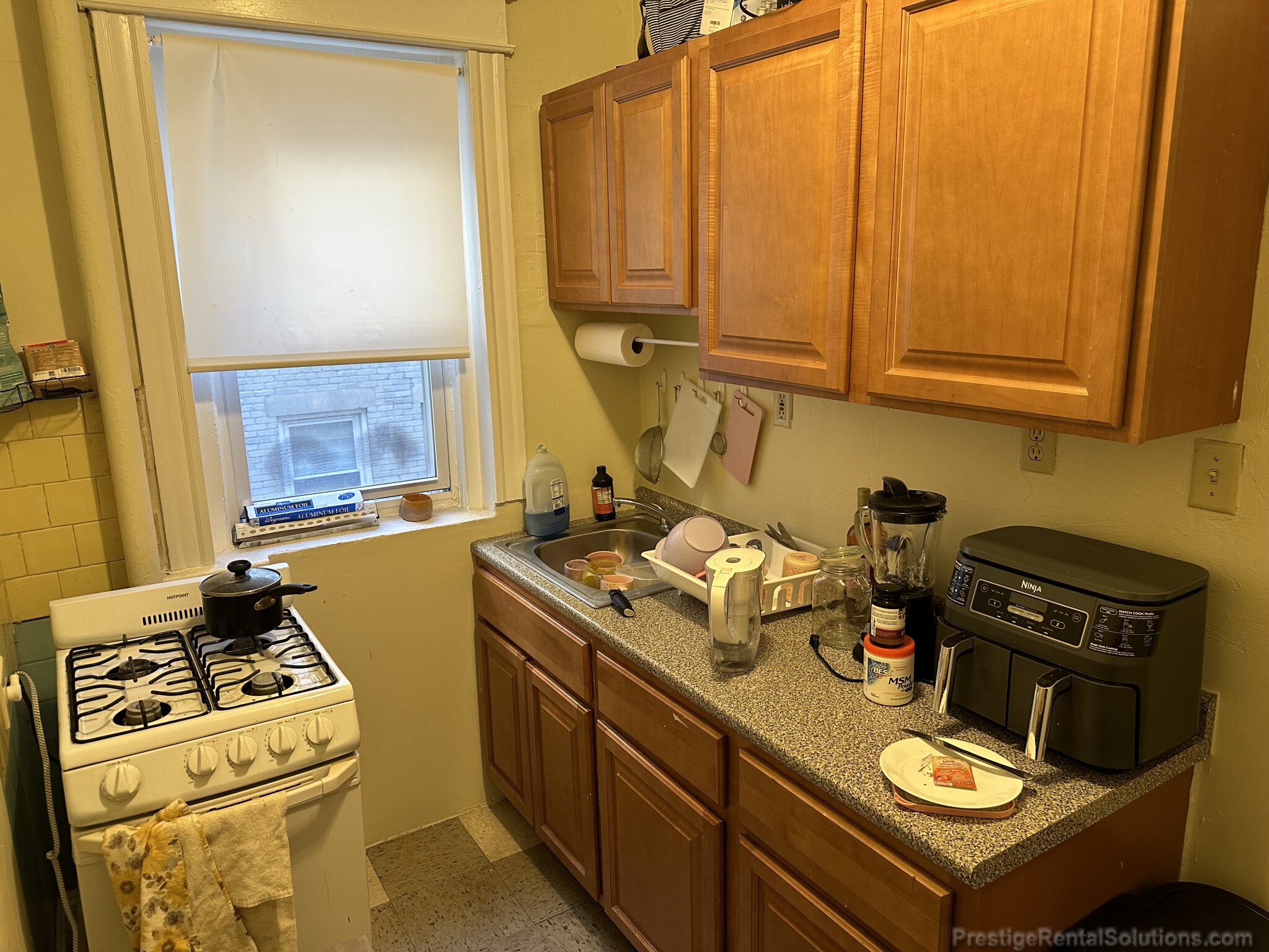 217 Kelton St, Brighton