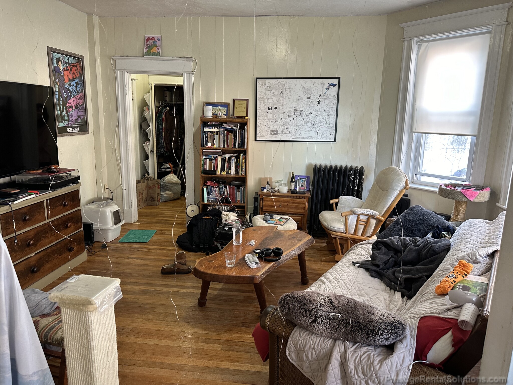 217 Kelton St, Brighton