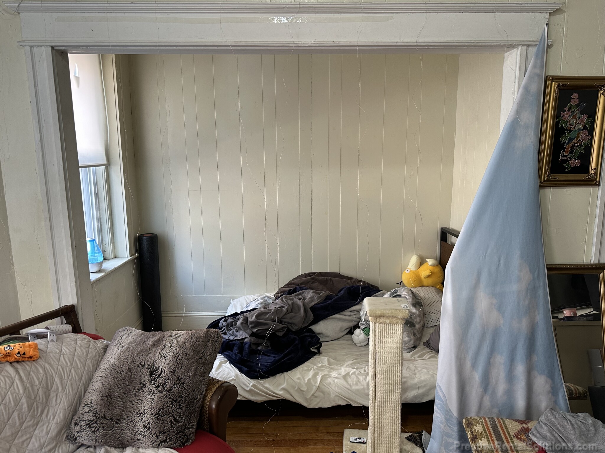 217 Kelton St, Brighton