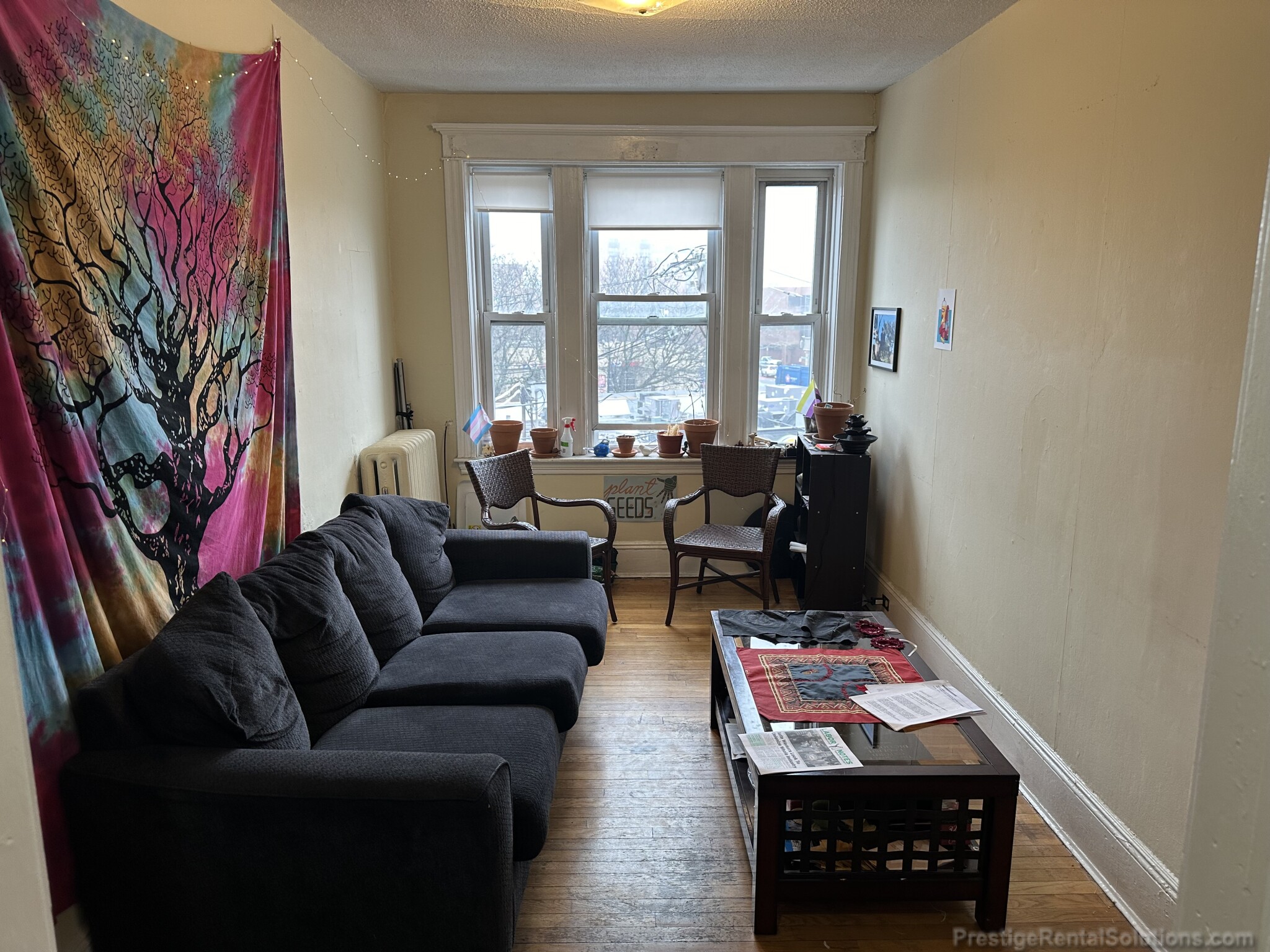 10 Allston St, Brighton