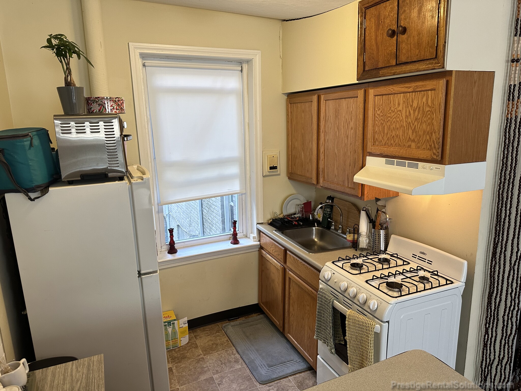 161 Kelton St, Allston