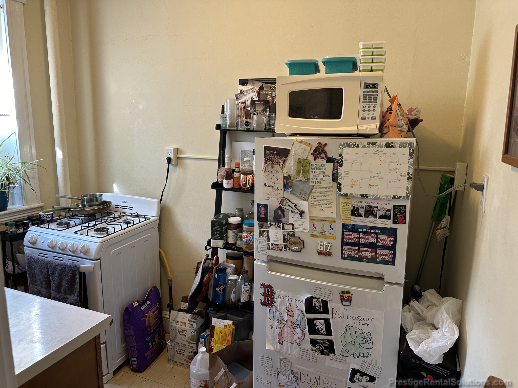 221 Kelton St, Brighton