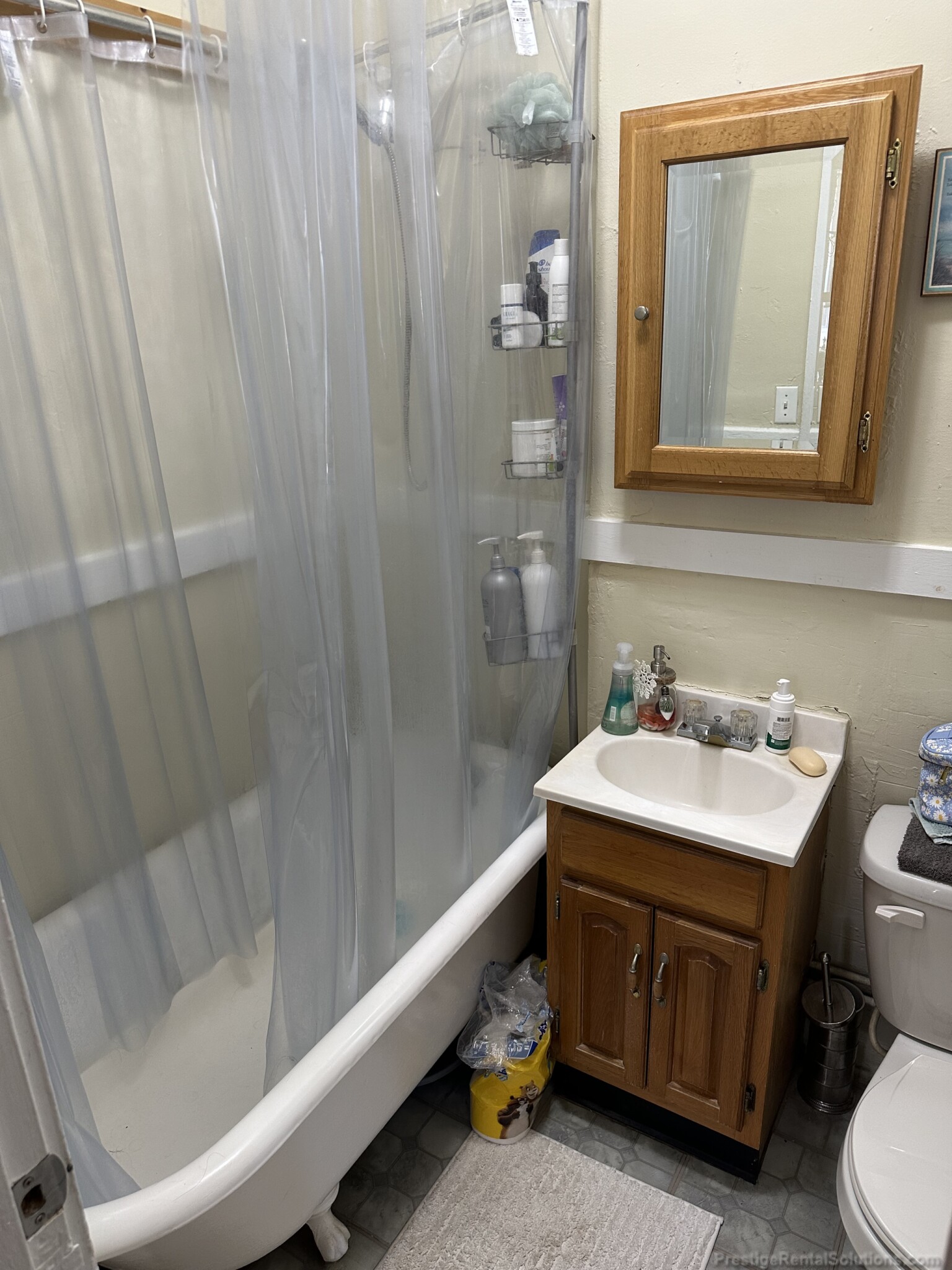 221 Kelton St, Brighton