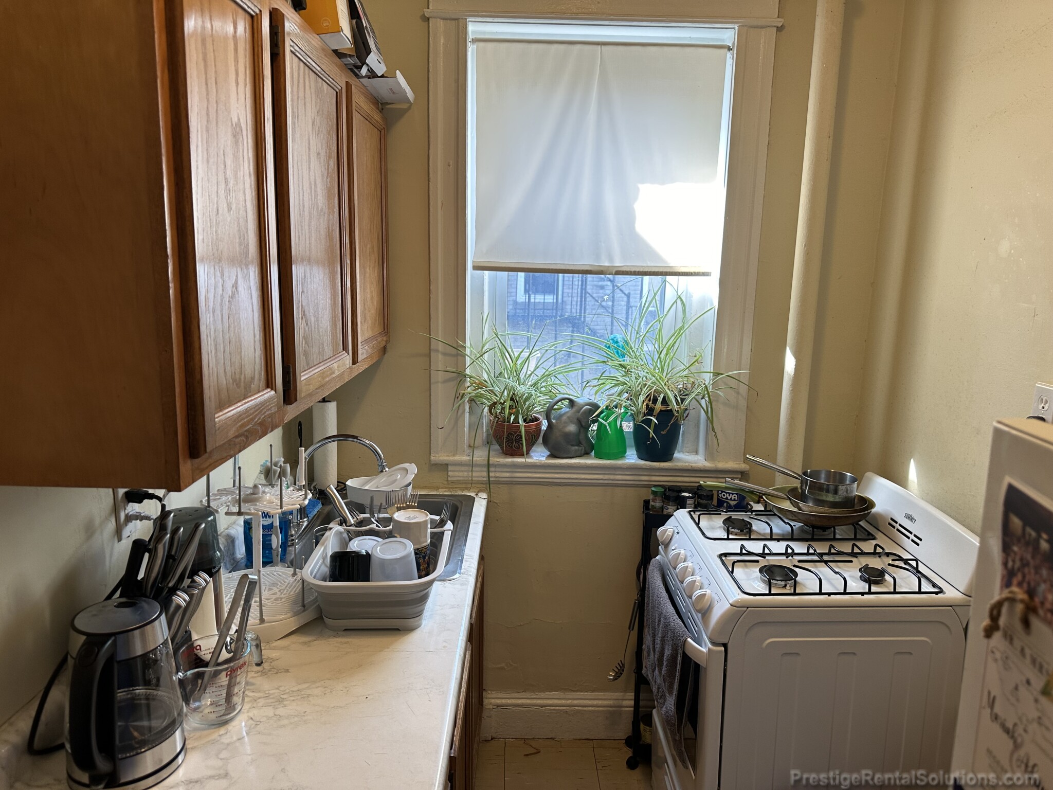 221 Kelton St, Brighton