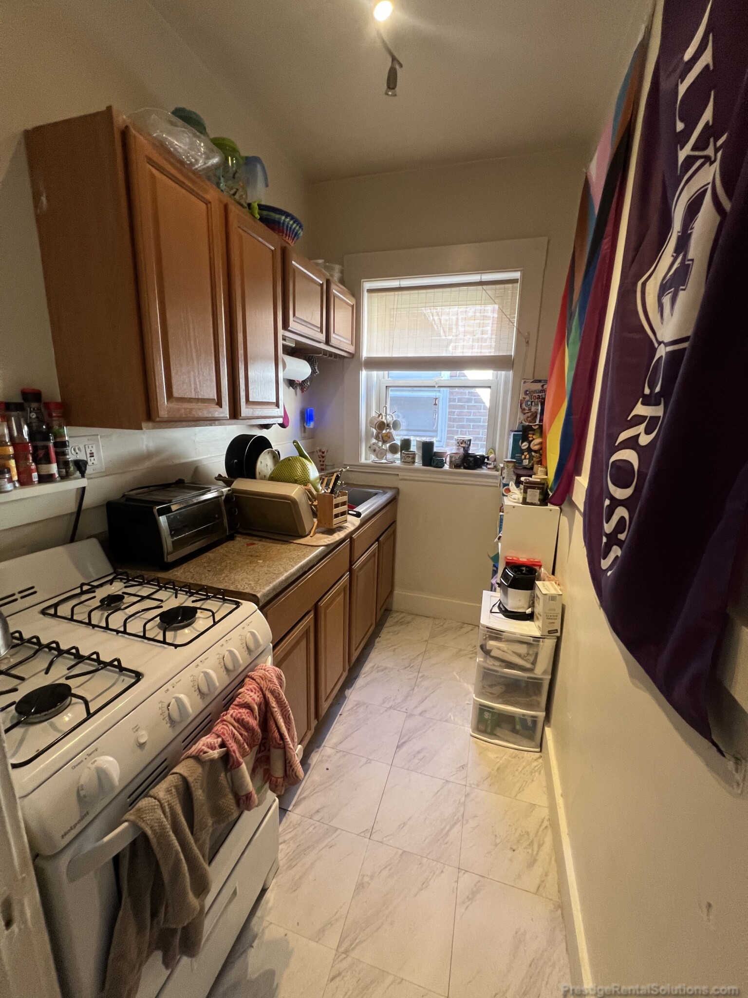 163 Summer St, Spring Hill