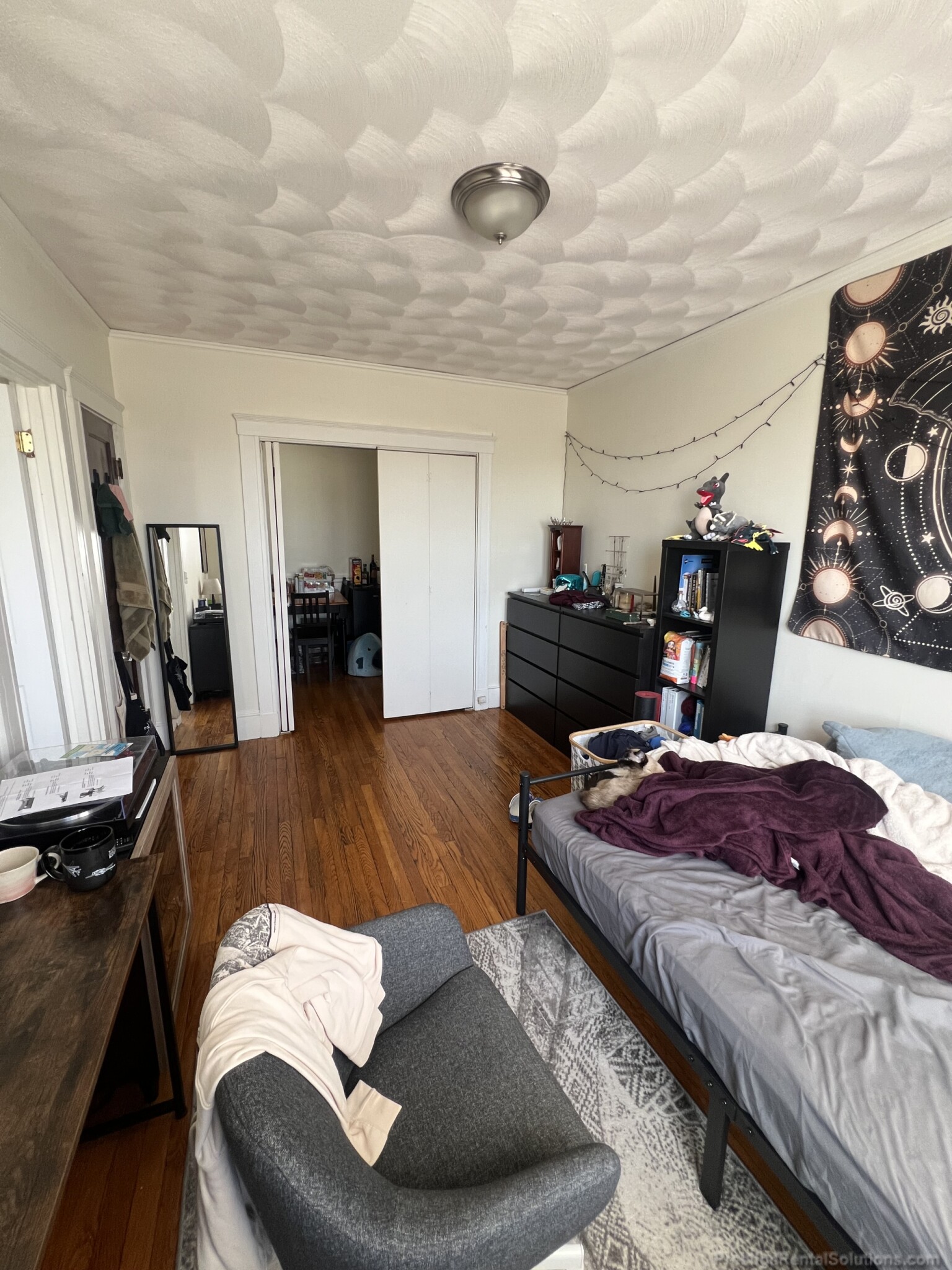 155 Summer St, Spring Hill