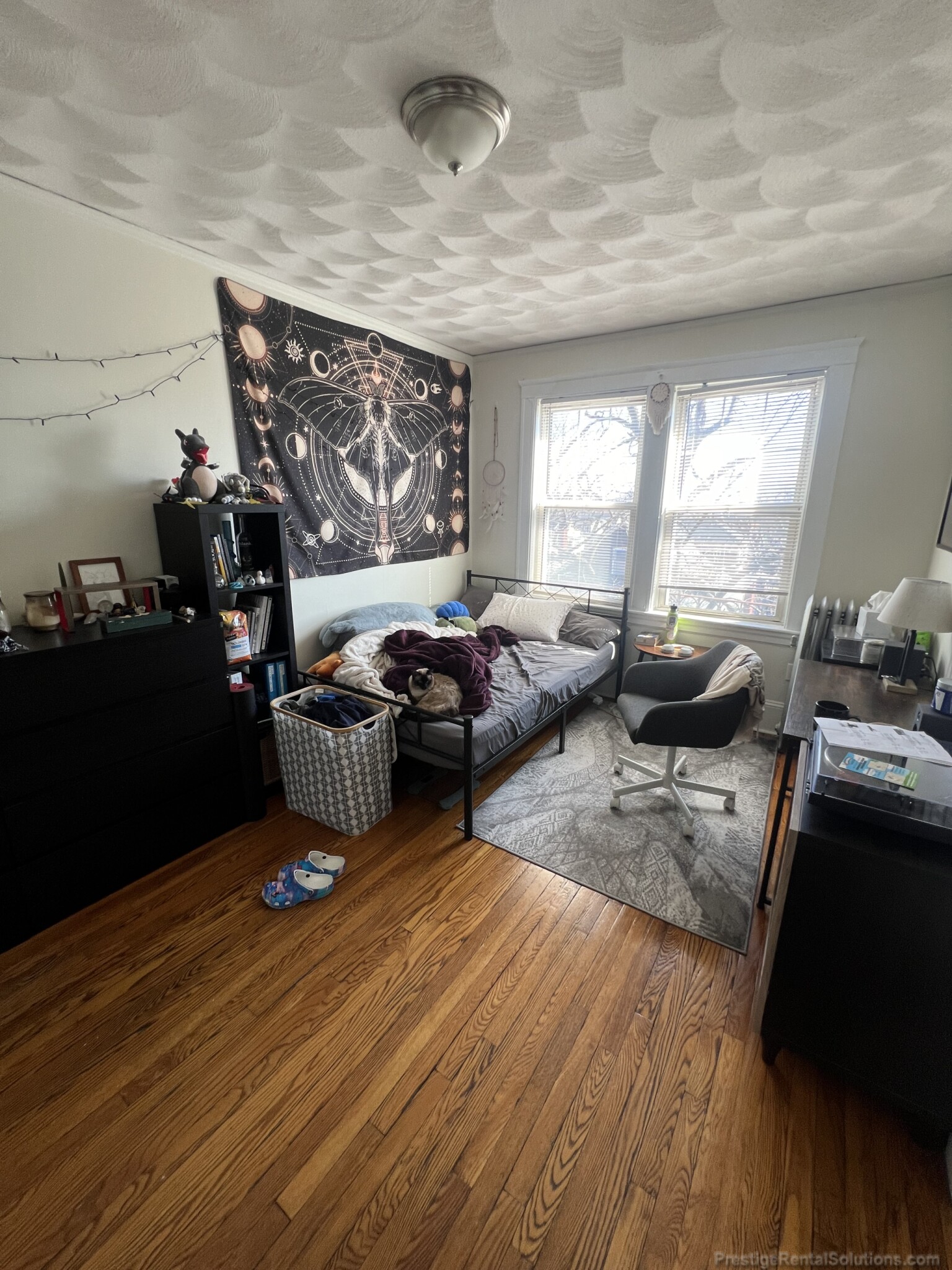 155 Summer St, Spring Hill