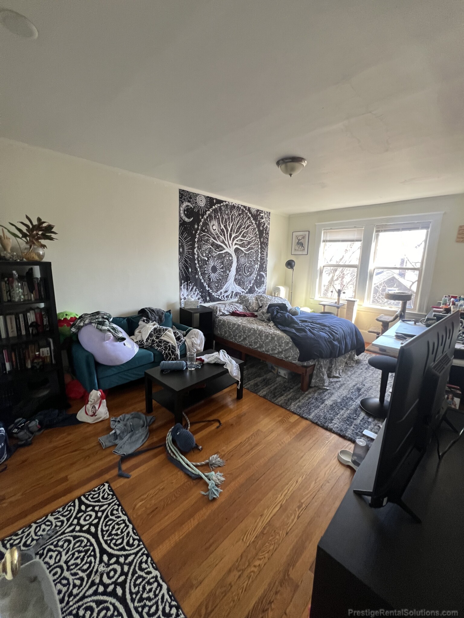 155 Summer St, Spring Hill