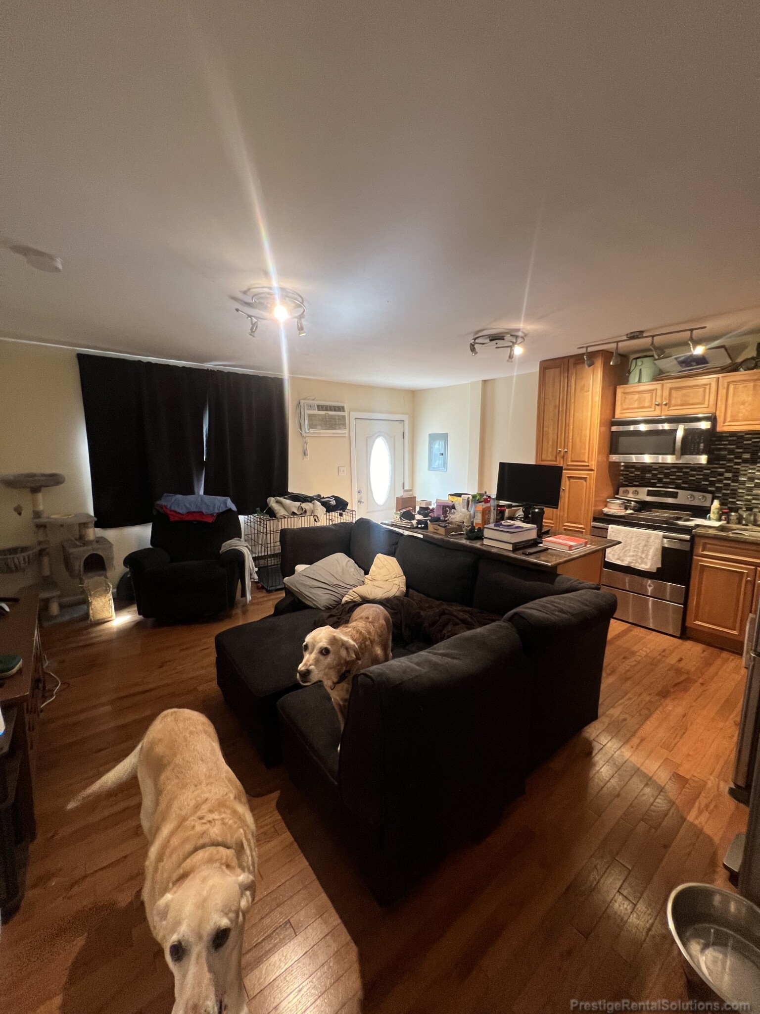 33 Davison St, Hyde Park