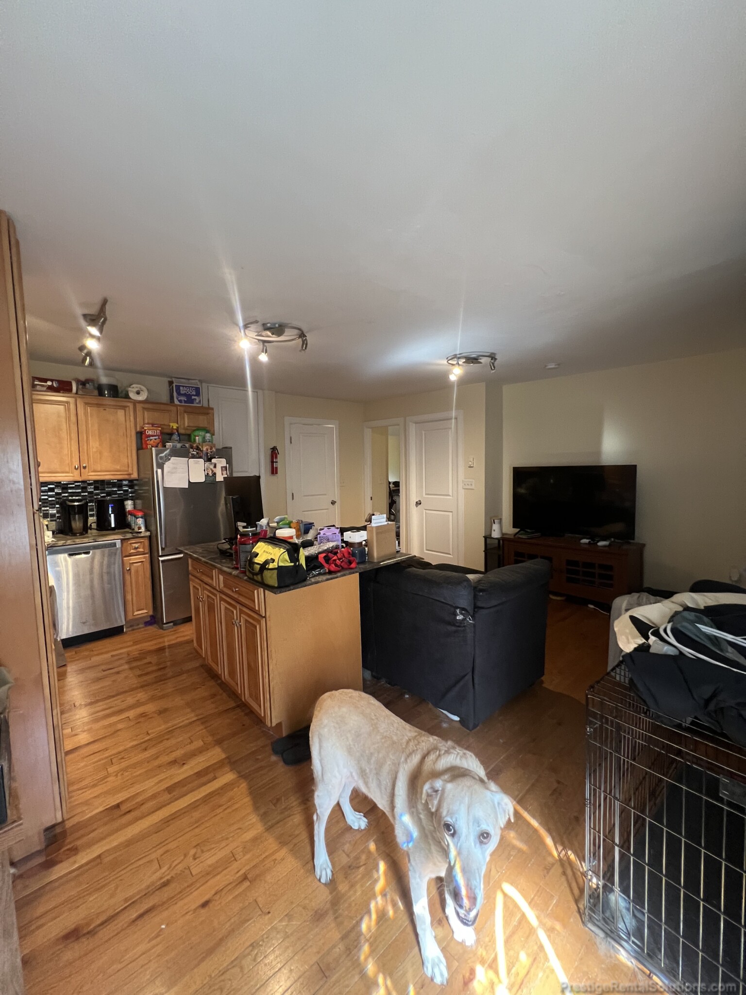 33 Davison St, Hyde Park