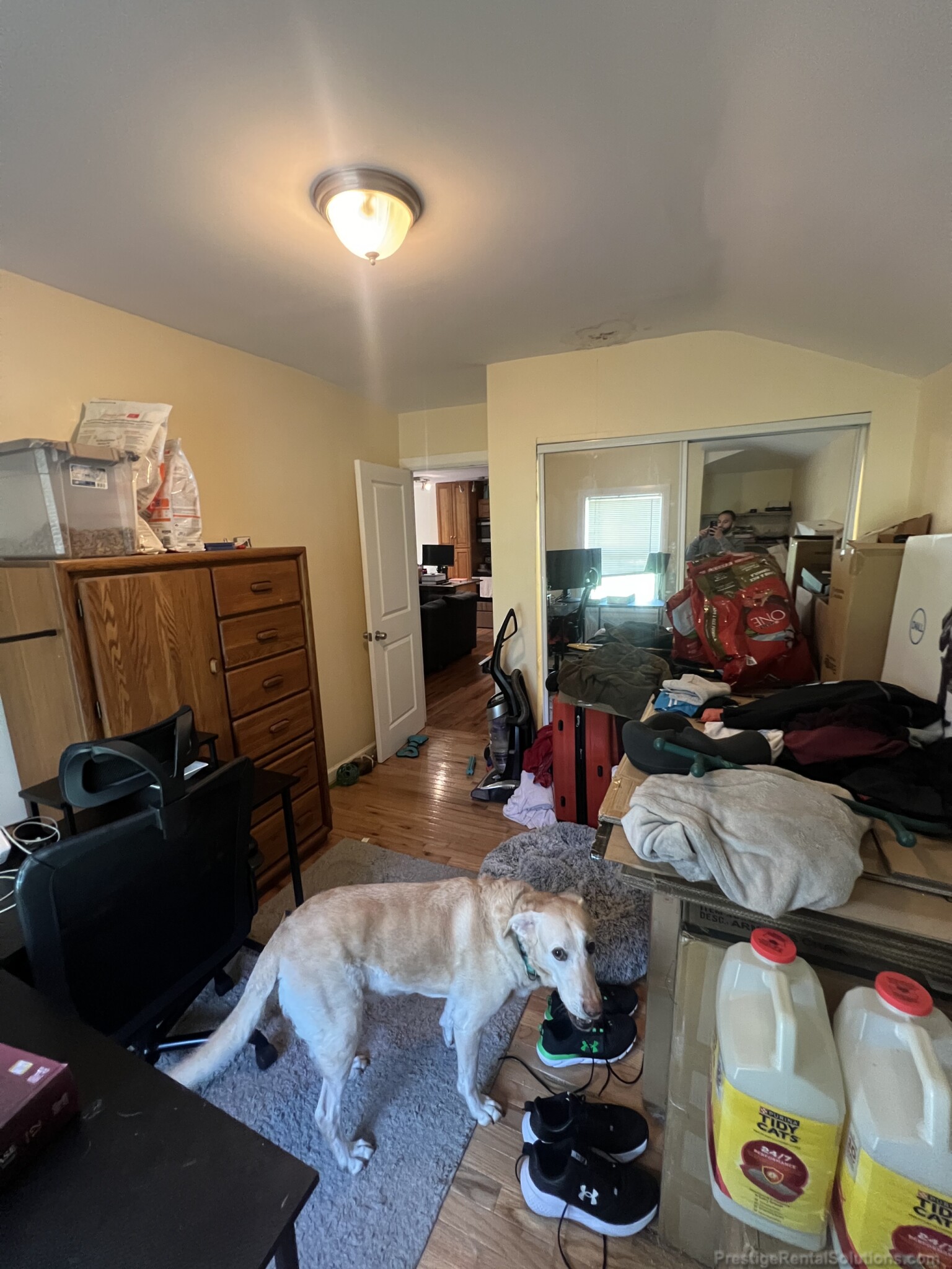 33 Davison St, Hyde Park