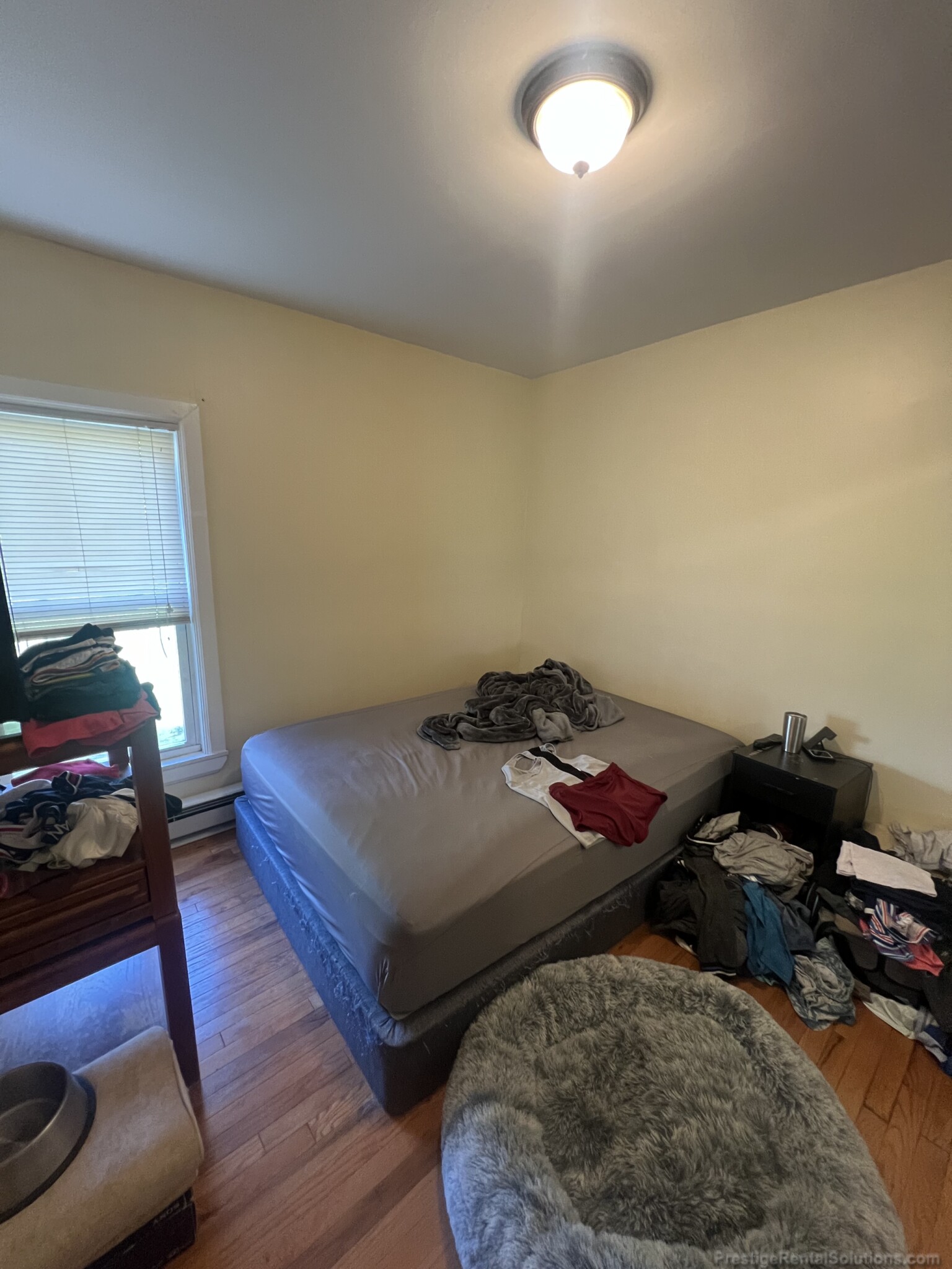 33 Davison St, Hyde Park