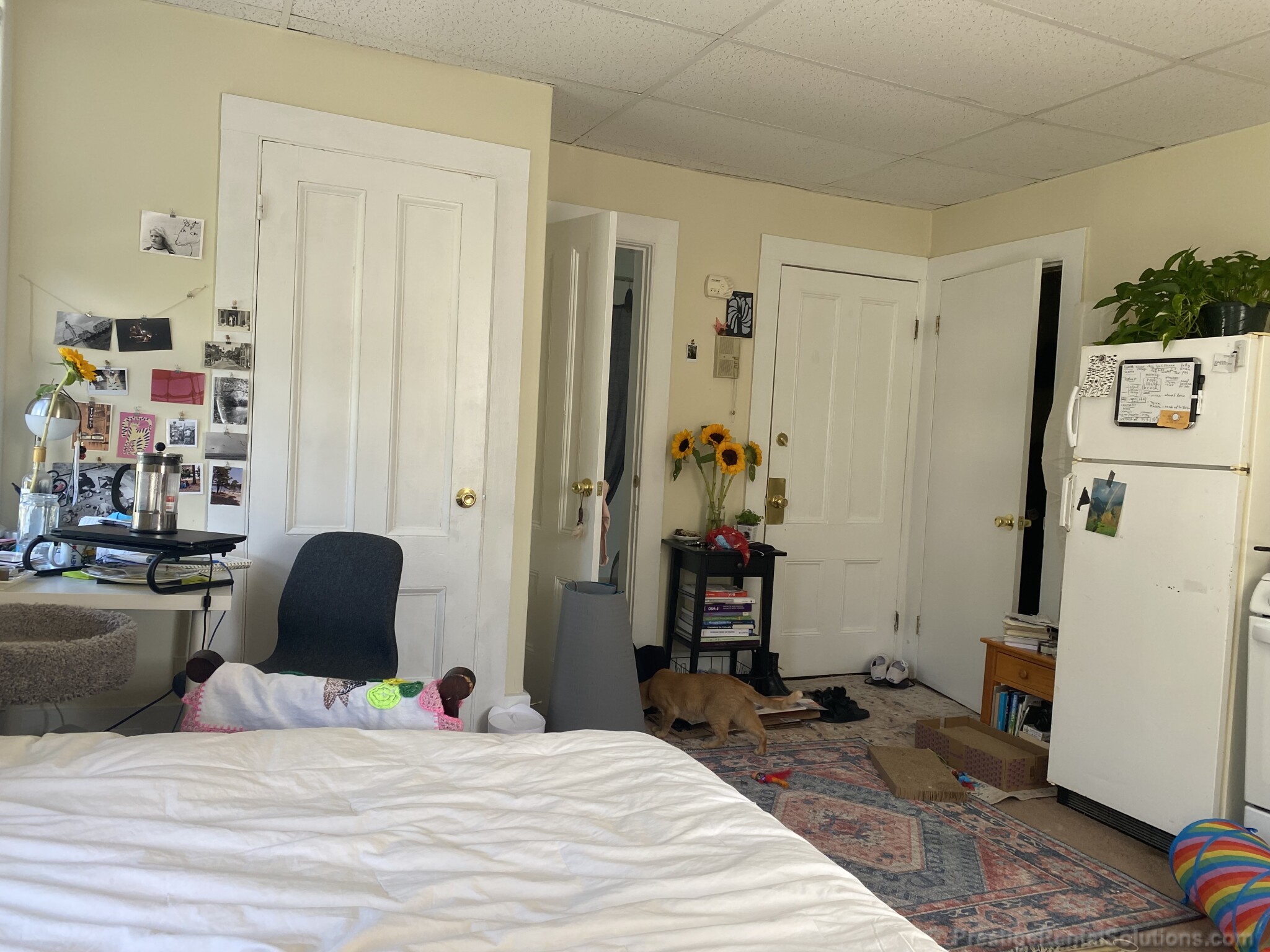 297 Nahant Rd, Nahant