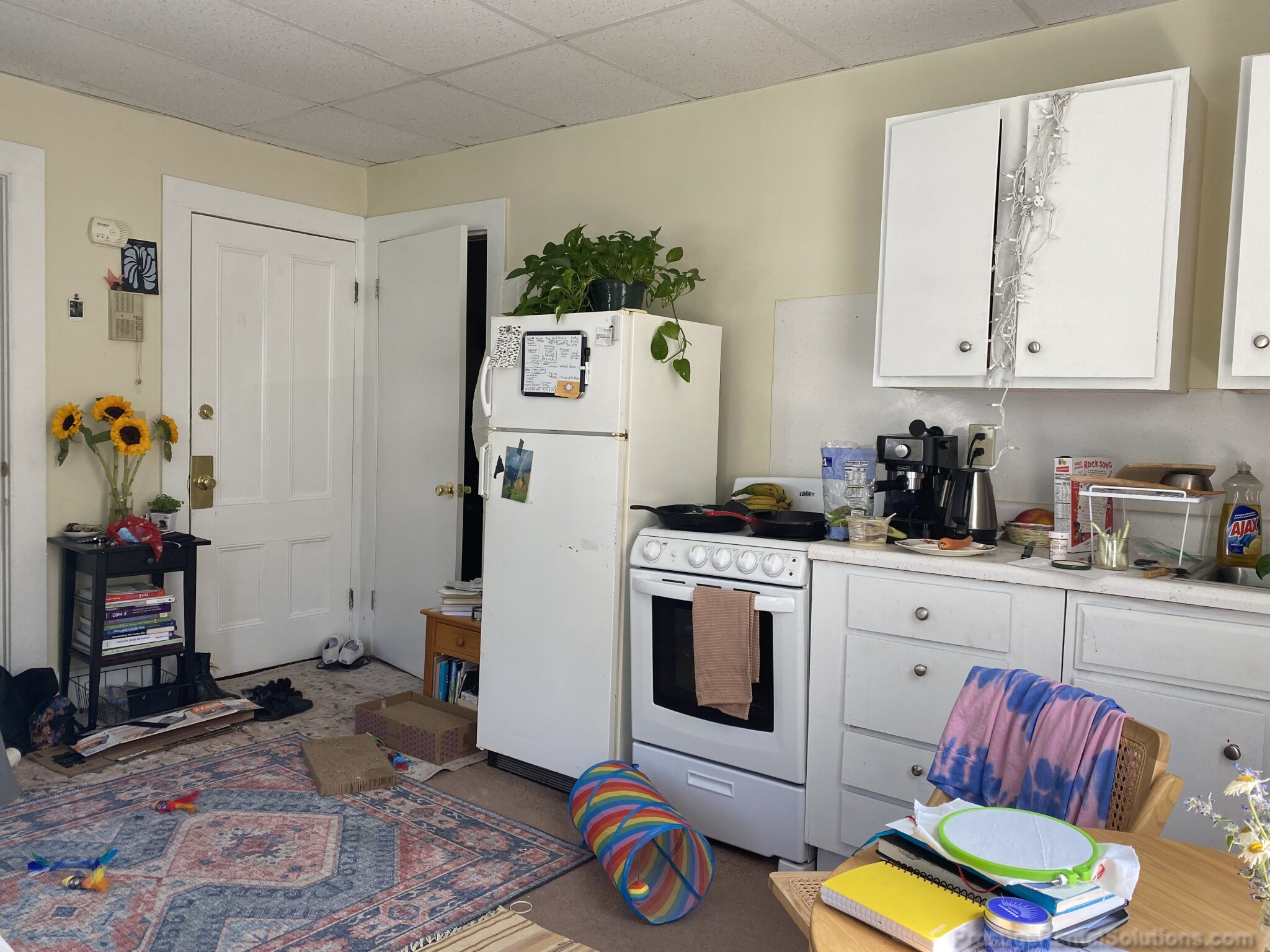 297 Nahant Rd, Nahant