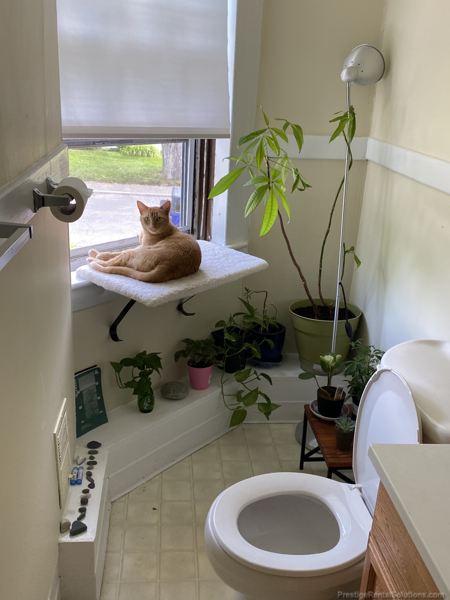 297 Nahant Rd, Nahant