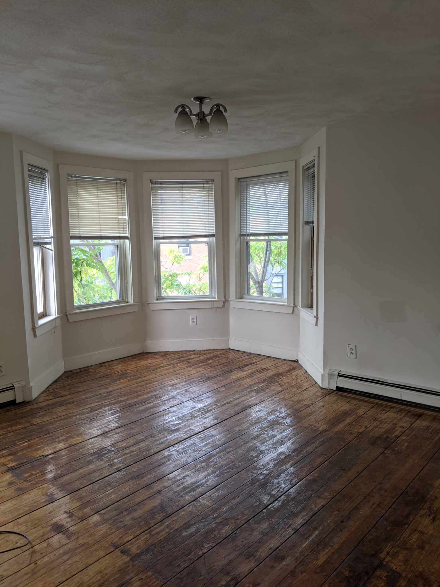 8 Burney St, Mission Hill