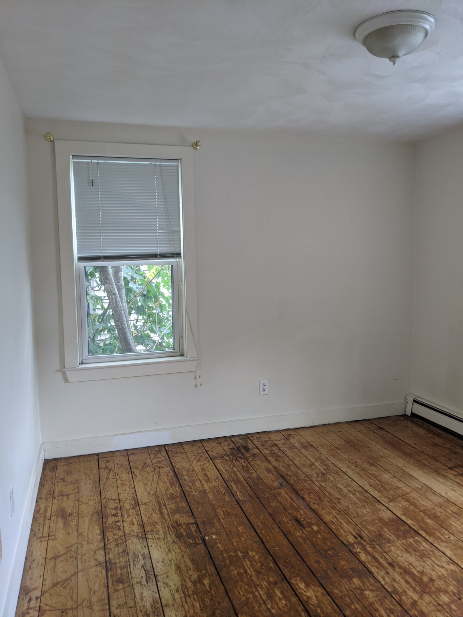 8 Burney St, Mission Hill