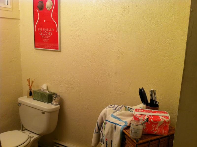 40 Anderson St, Beacon Hill