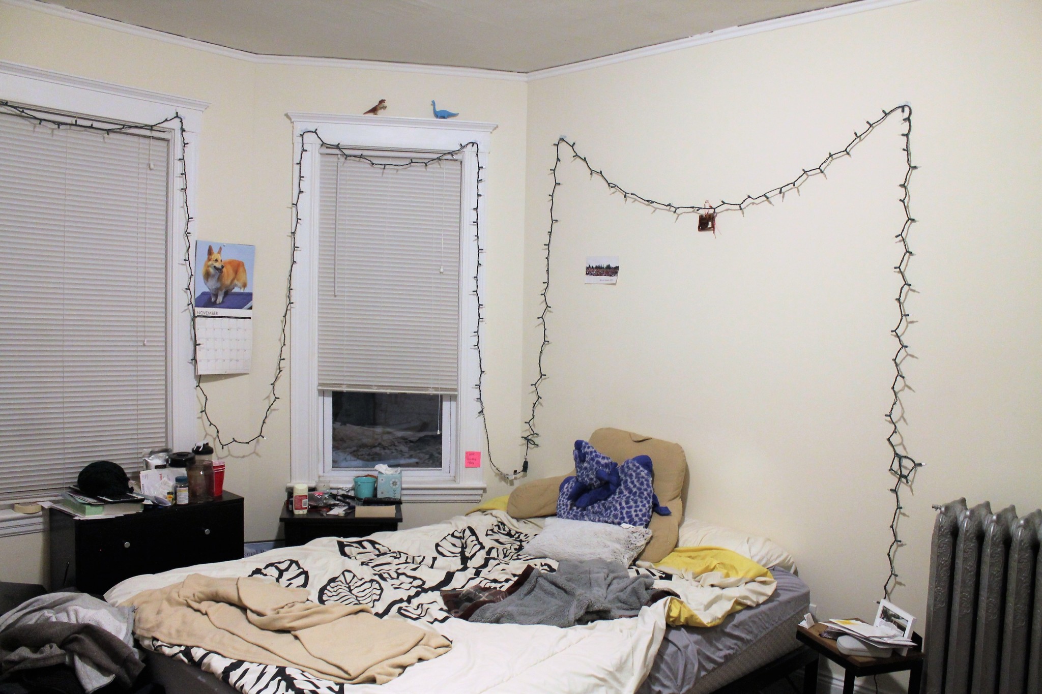 95 Hillside St, Mission Hill