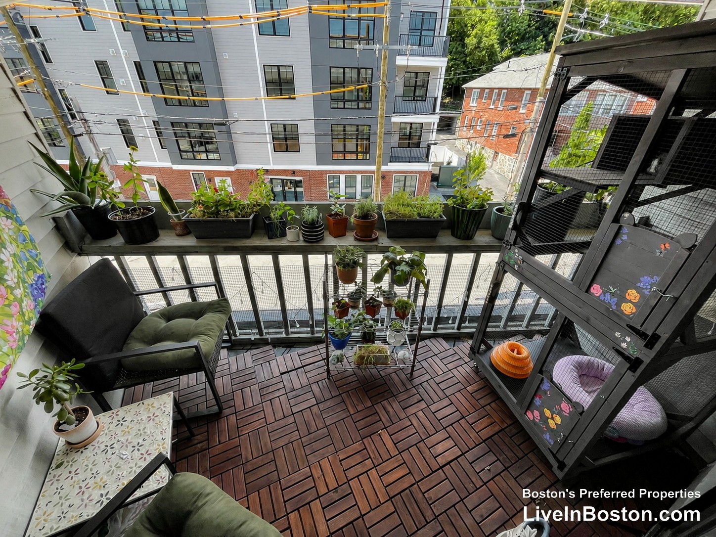 Photos of apartment on Euston Rd.,Boston MA 02135