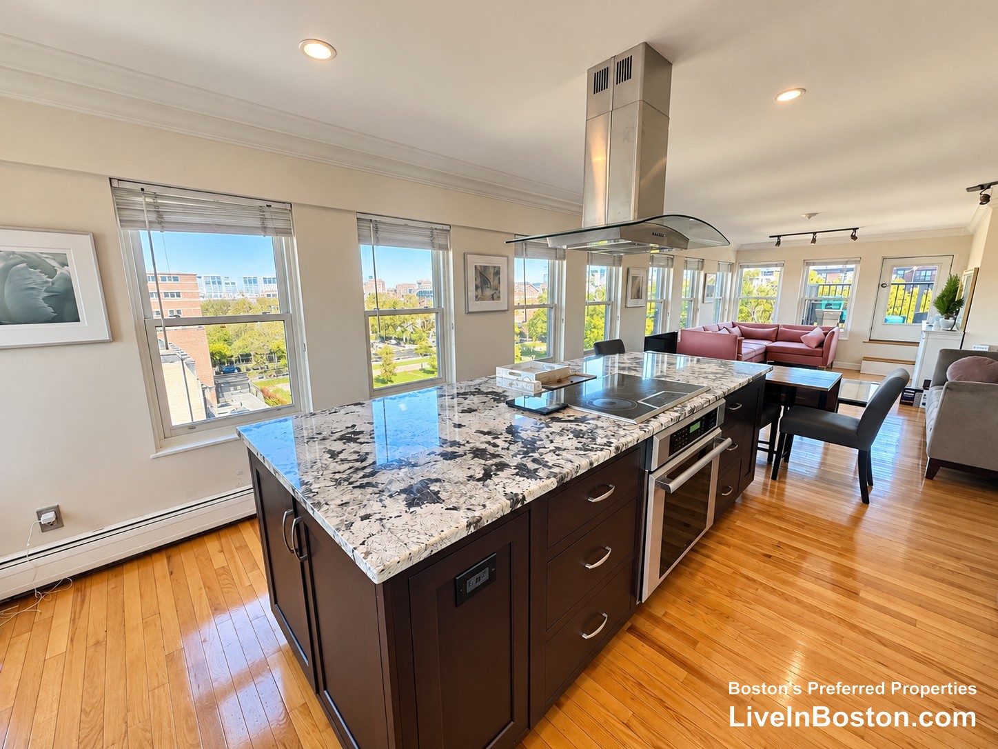 Pictures of  property for rent on East Concord St., Boston, MA 02118