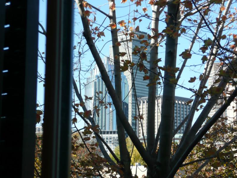 28 Montgomery St, South End