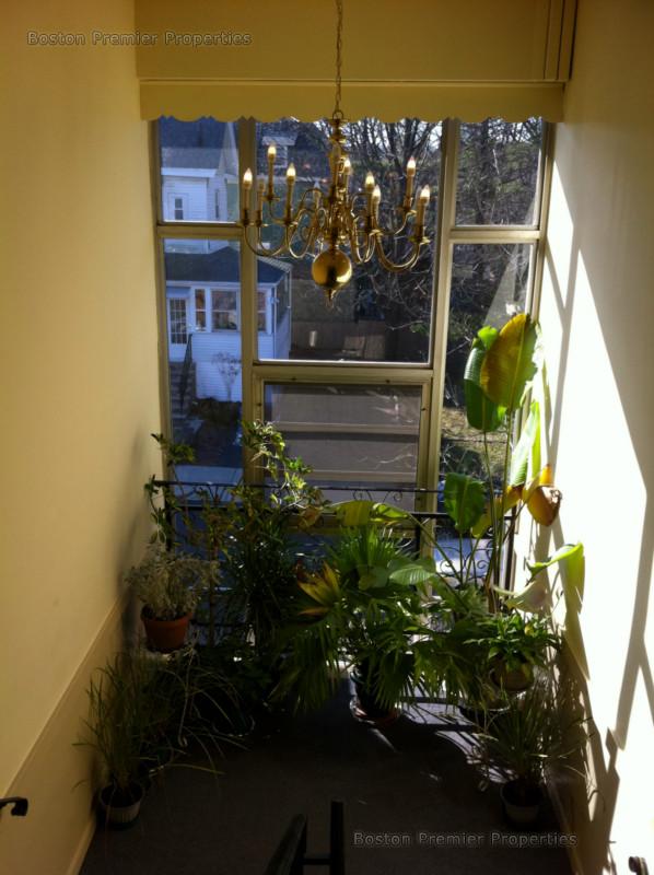 1 bed, 1 bath apartment for rent at 68 Butler St Unit C6, Dorchester