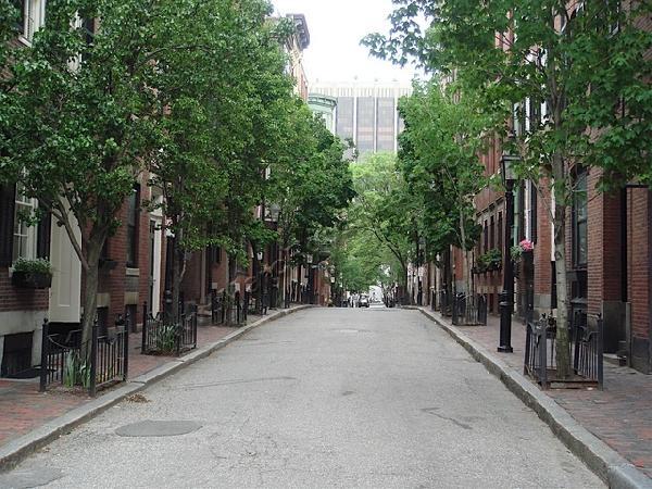 90 Myrtle St, Beacon Hill