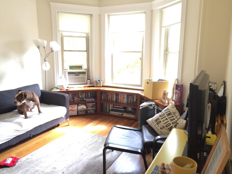 1 bed, 1 bath apartment for rent at 1197 Boylston St Unit 20, Fenway — photo 3 of 13