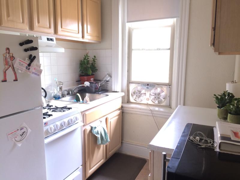 1 bed, 1 bath apartment for rent at 1197 Boylston St Unit 20, Fenway — photo 5 of 13