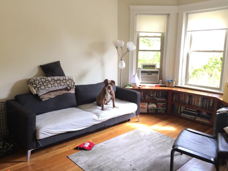 1 bed, 1 bath apartment for rent at 1197 Boylston St Unit 20, Fenway — photo 6 of 13
