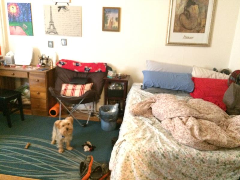 1203 Boylston St, Fenway