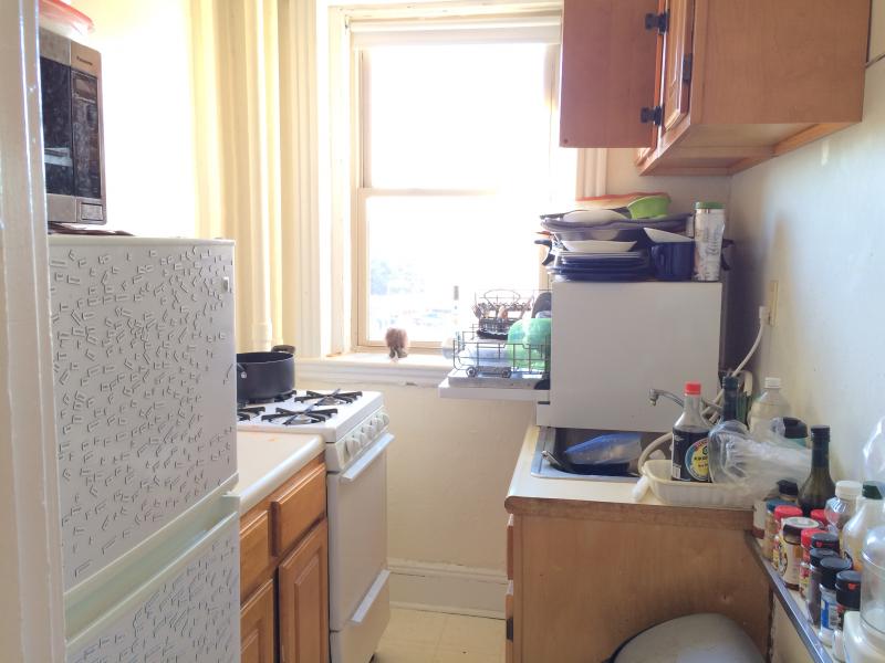 1209 Boylston St, Fenway