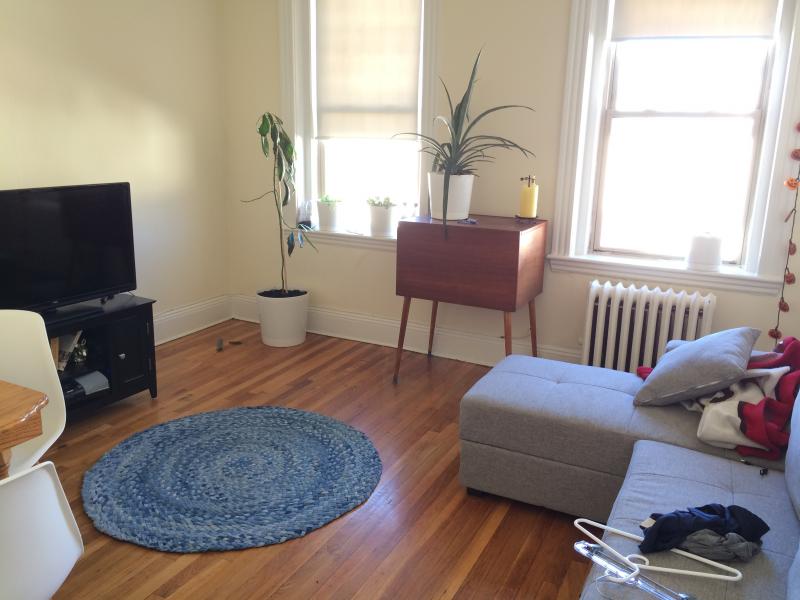 1209 Boylston St, Fenway