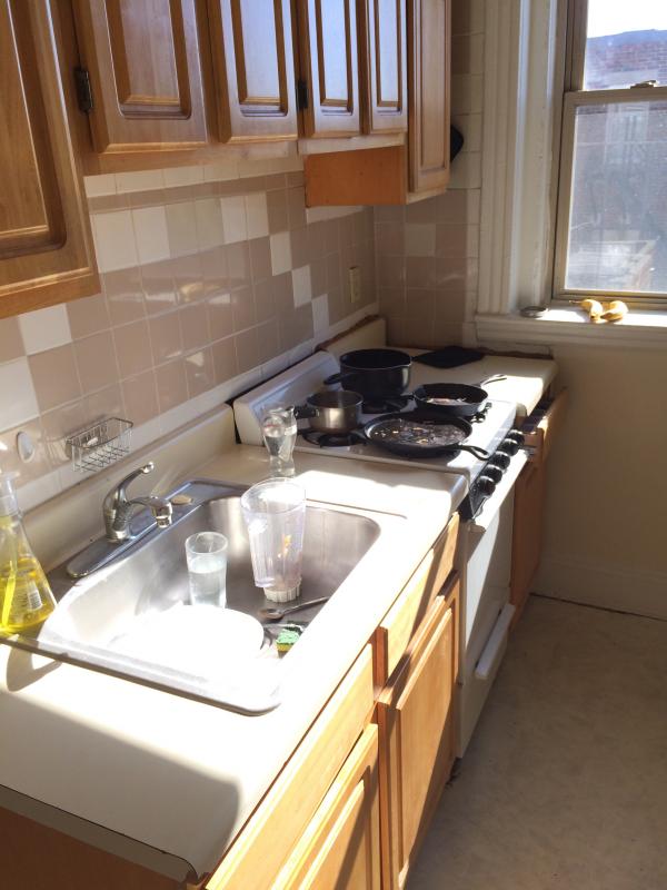 1209 Boylston St, Fenway