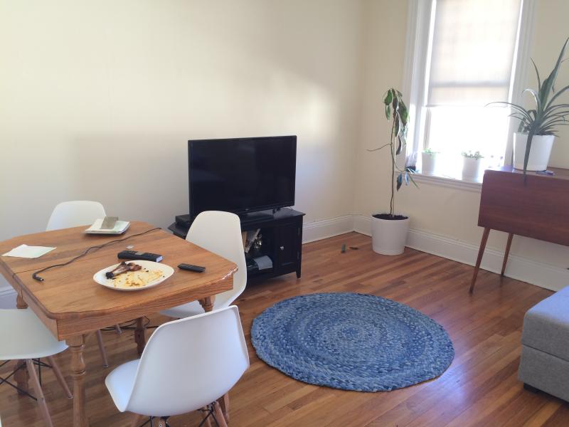 1209 Boylston St, Fenway