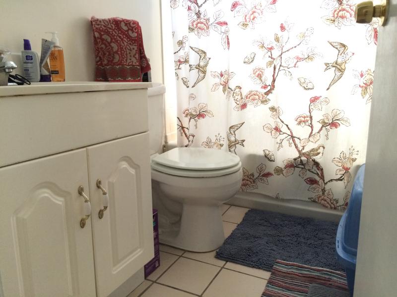 1209 Boylston St, Fenway