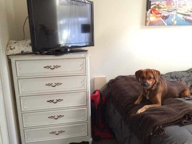 1209 Boylston St, Fenway