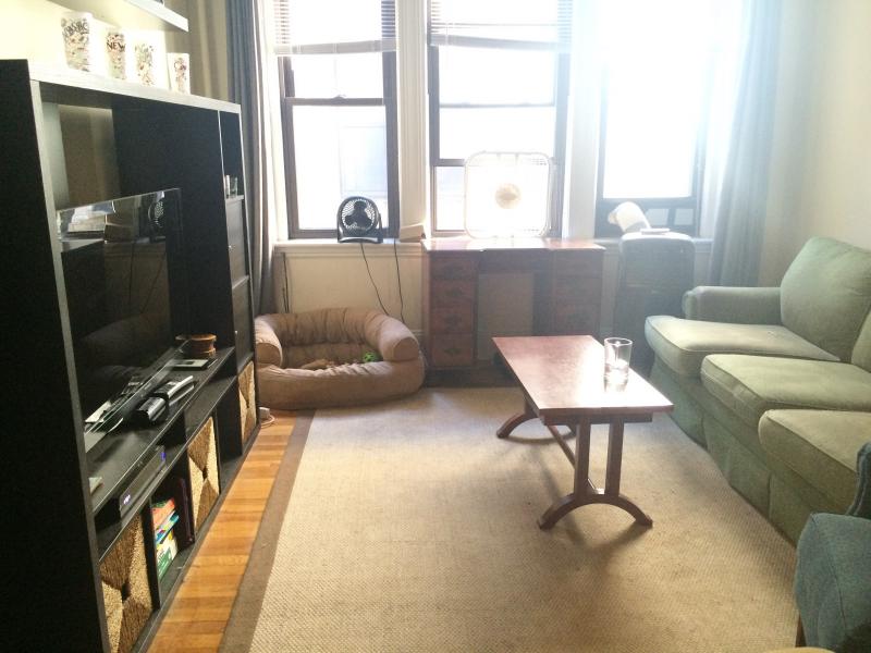 3 Lothian Rd, Brighton