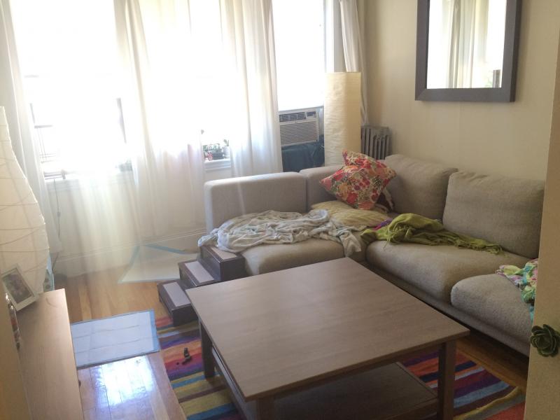 5 Lothian Rd, Brighton