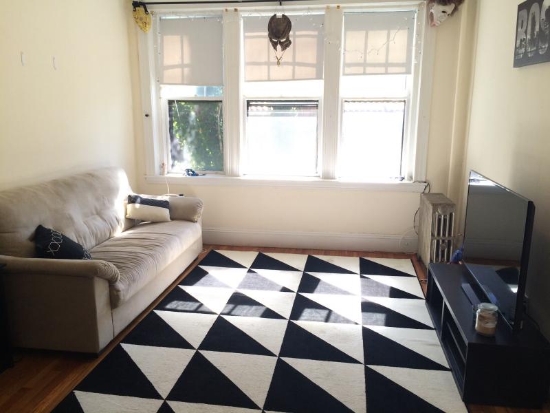 5 Lothian Rd, Brighton