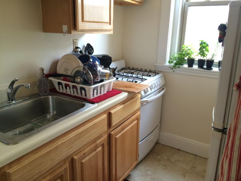 Rental image