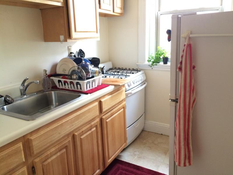 Rental image