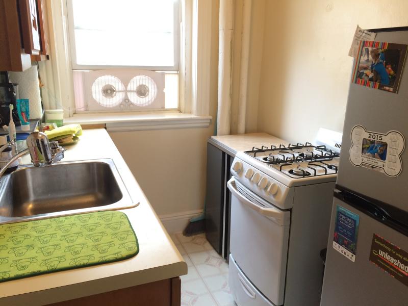 1203 Boylston St, Fenway